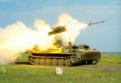 9K35Strela(B).jpg