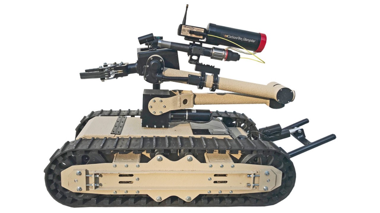 HD2S_Mastiff_Ukrainian_(C).jpg