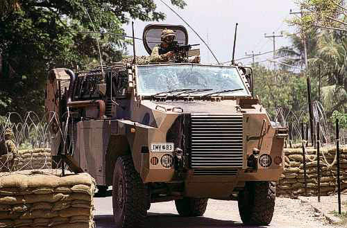 BushmasterIV(D).jpg