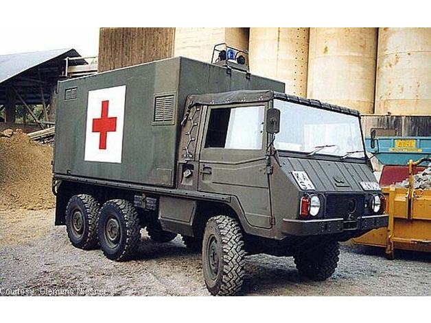 Pinzgauer_AMB-S(A).jpg