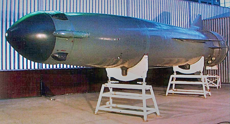 SS-N-19_Shipwreck_anti-ship_missile_(D).jpg
