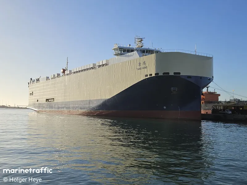 TANG HONG (MarineTraffic photo 6166843)
