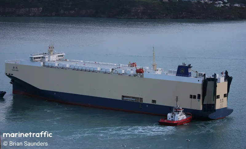 TANG HONG (MarineTraffic photo 5125200)