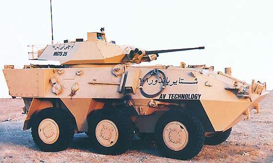 Pandur_I_(C).jpg