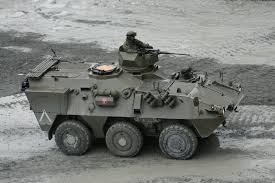 Pandur_I_(B).jpg
