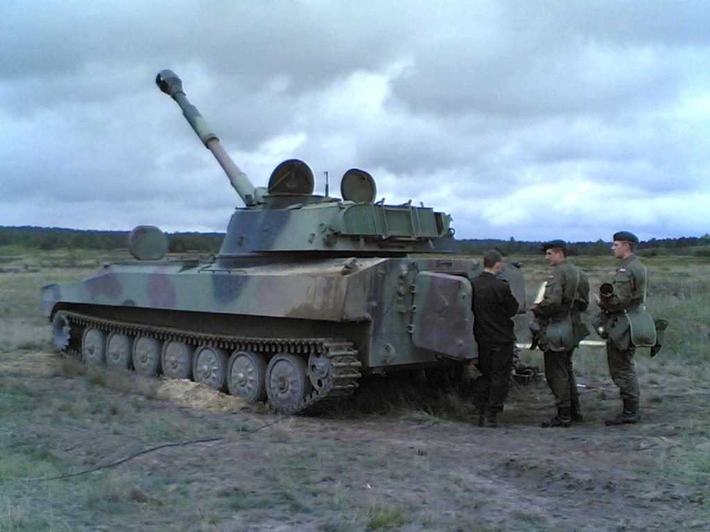 2s1_Gvozdika(D).jpg