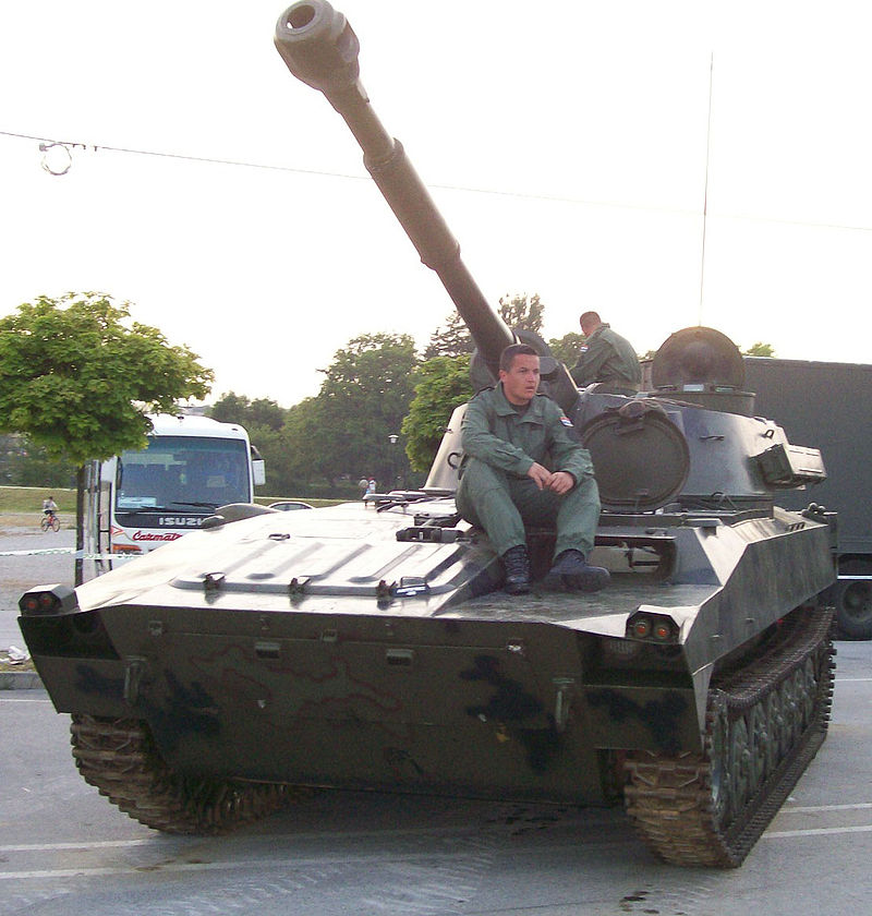 2s1_Gvozdika(C).jpg