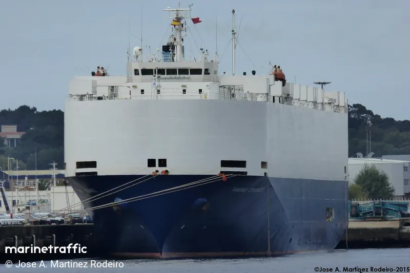 DA FENG GANG LI MING HAO (MarineTraffic photo 5576636)