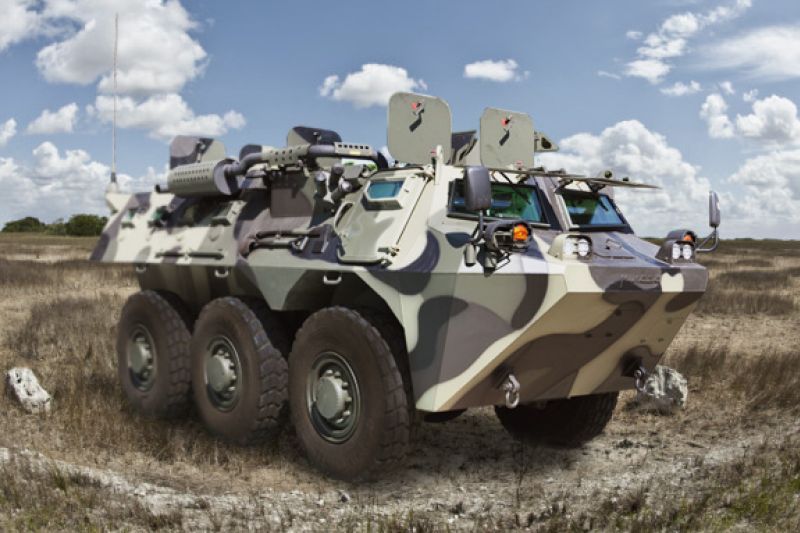 APS-3_Anoa(A).jpg