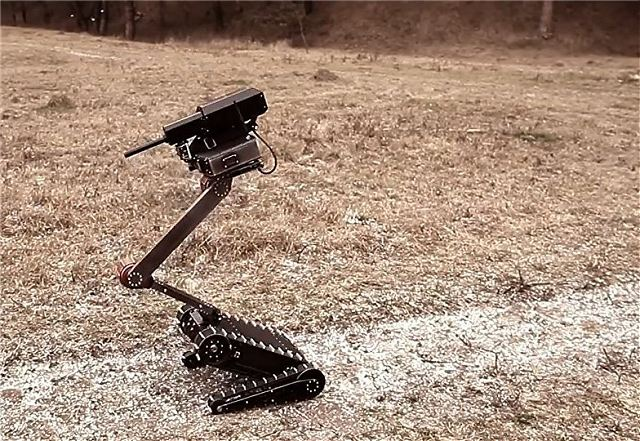 RS1A3_Minirex_UGV_(B).png