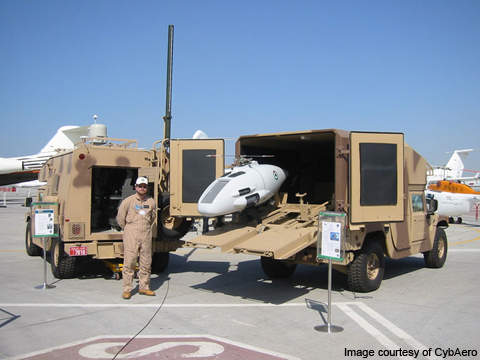 Apid_55(C).jpg