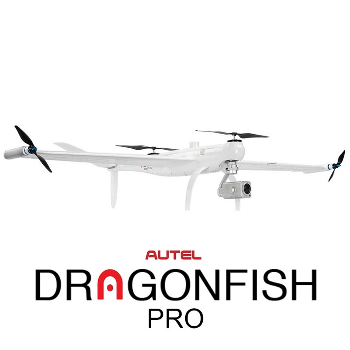 Dragonfish_Pro_Chinese_(A).jpg