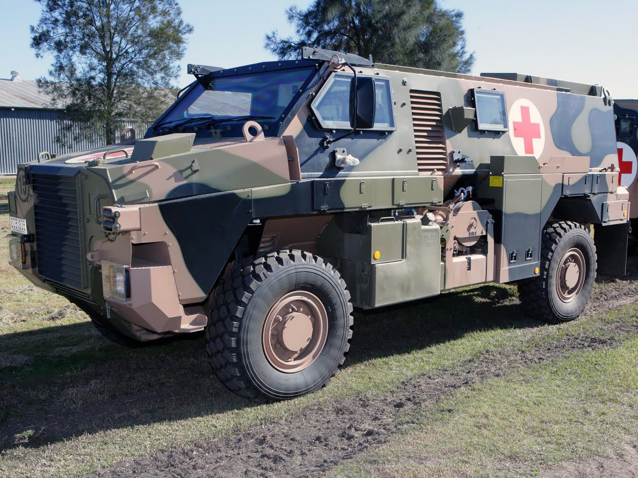 BushmasterAMB(B).jpg