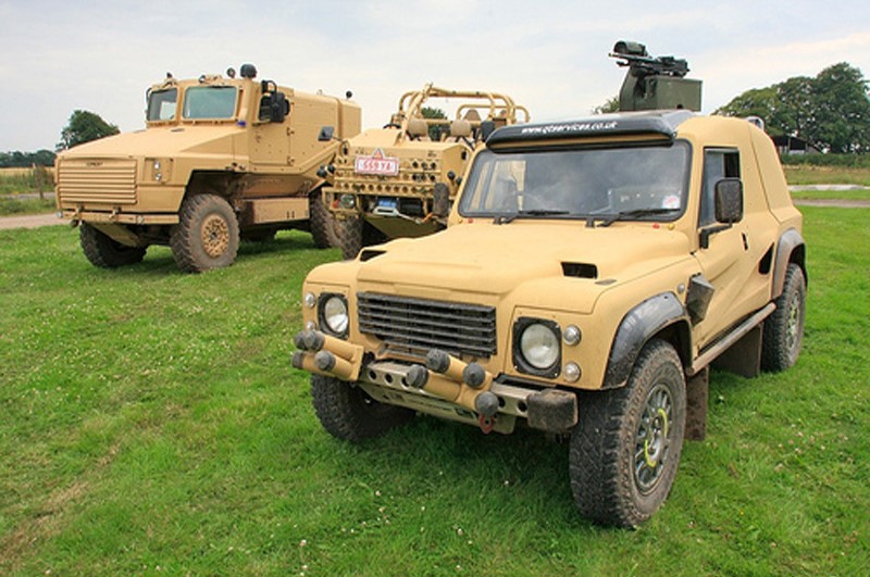 Wildcat_LRB(C).jpg