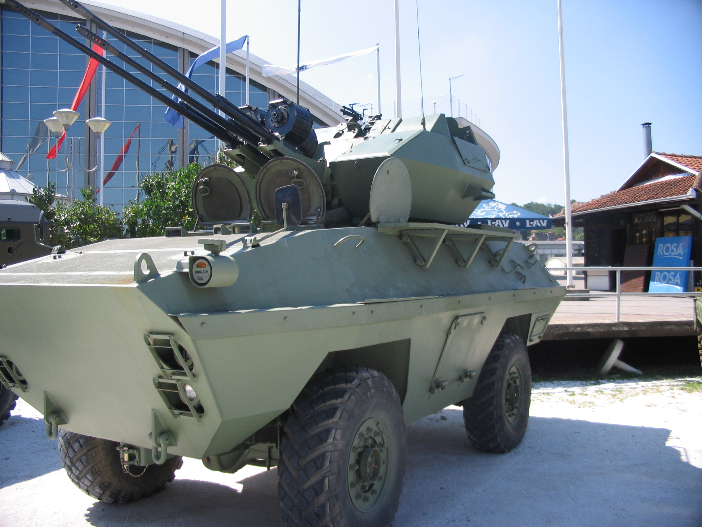 BOV-3_(B).jpg