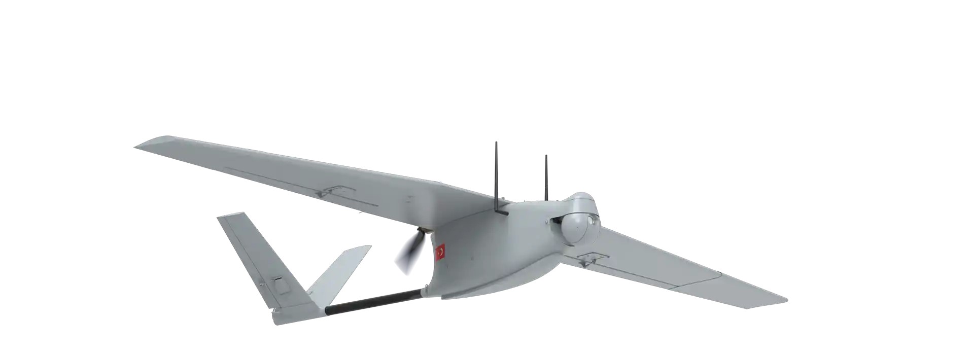 Bayraktar_Mini_UAV_(C).jpg
