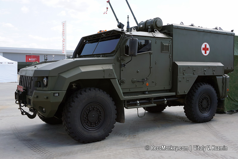 LinzaAmbTr(B).jpg