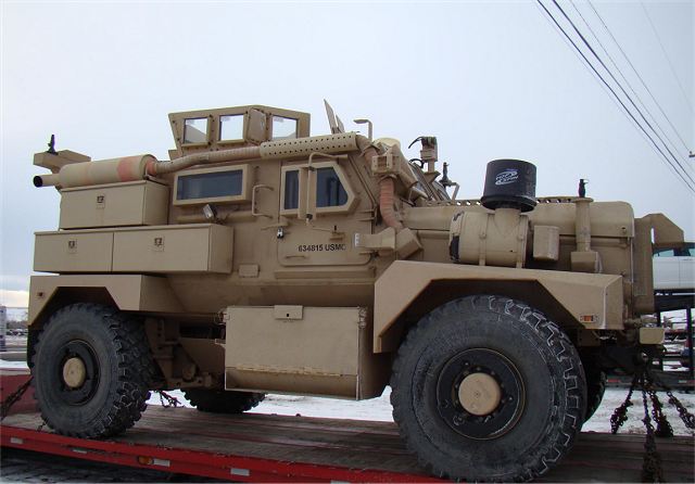 Cougar(B).jpg
