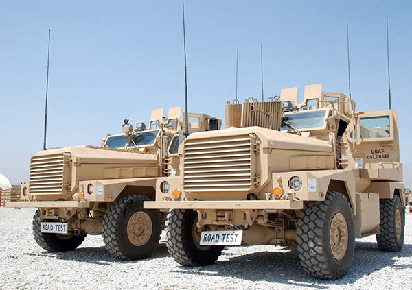 Cougar(C).jpg