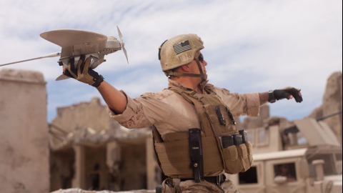 WaspIIIUAV(B).jpg