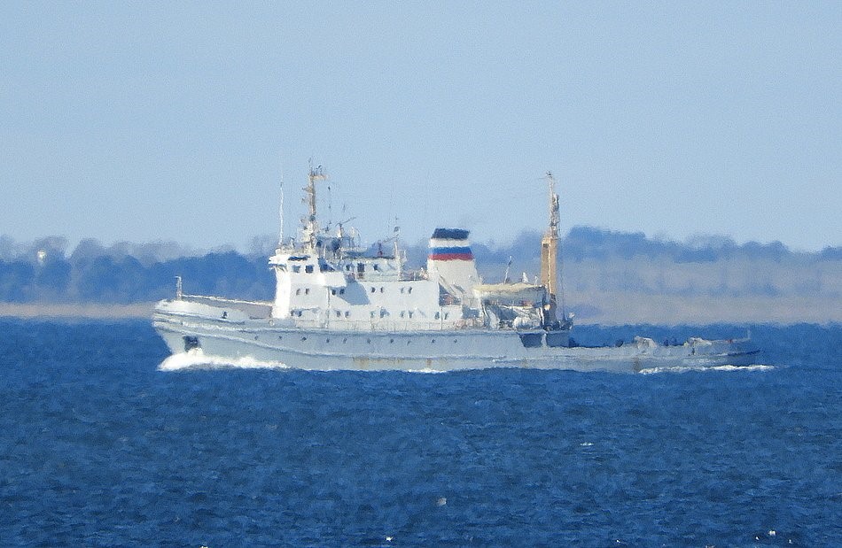 Goryn_Class_(AA).jpg