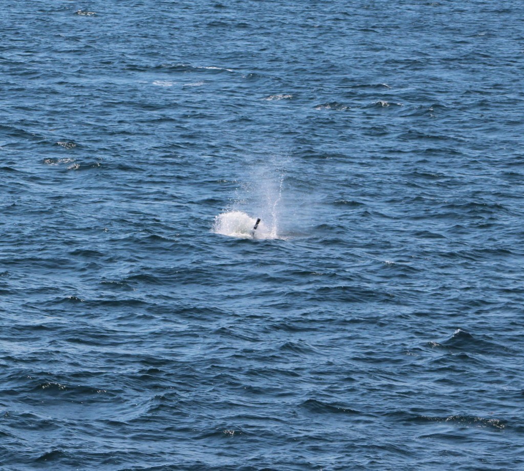 m02016060300004.jpg
