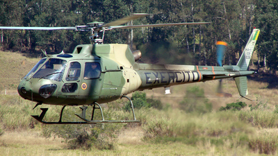 AS_550_A2_Fennec(a).jpg