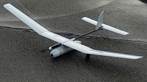 Skylark_1.jpg