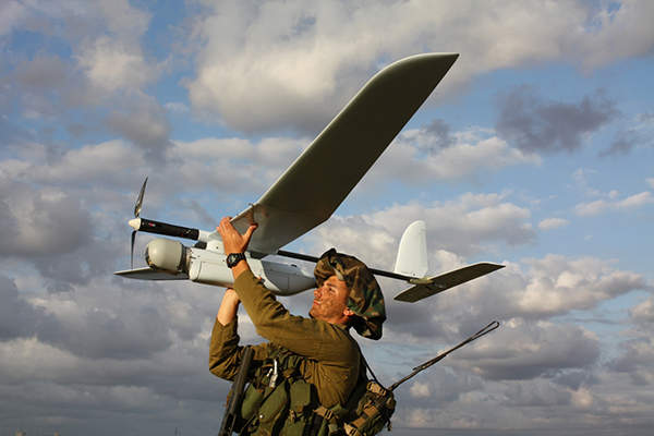 Skylark1.jpg
