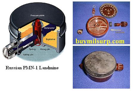 PMN_1_(B).jpg