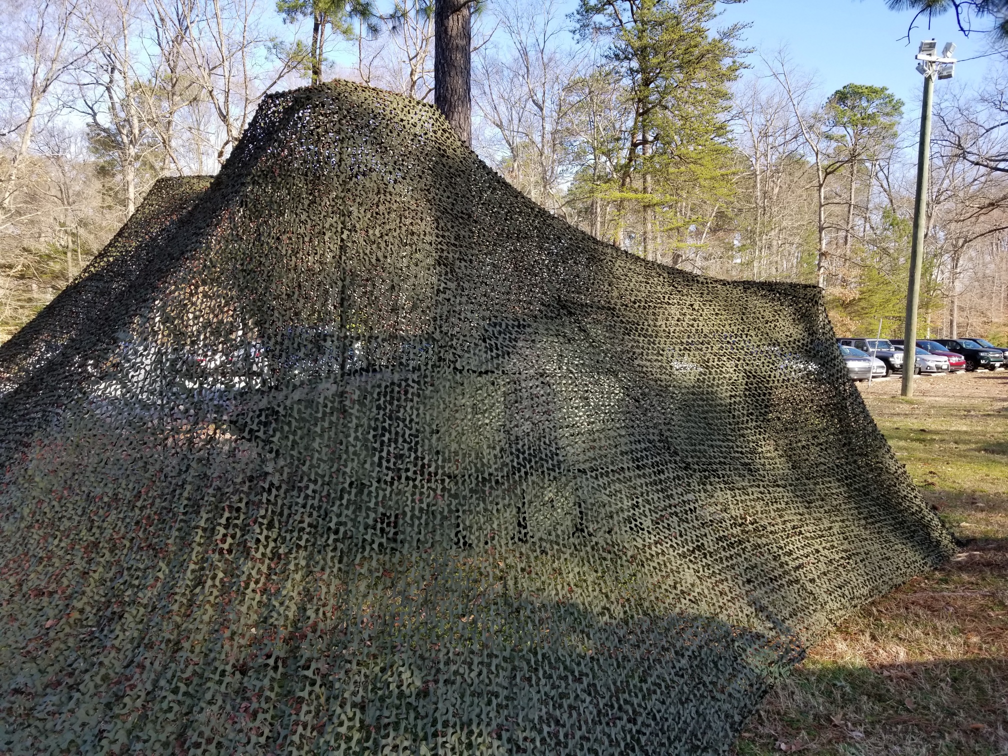 BMP_Family_Decoy_Camo.jpg
