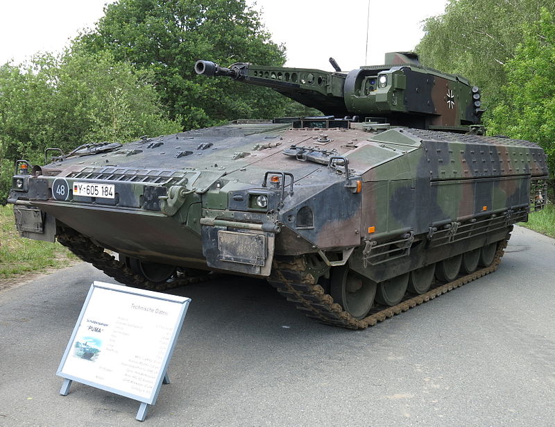 Puma_1.jpg