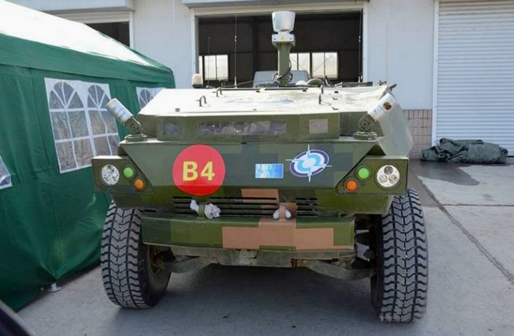 Saw_Tiger_Chinese_4x4_(B).png