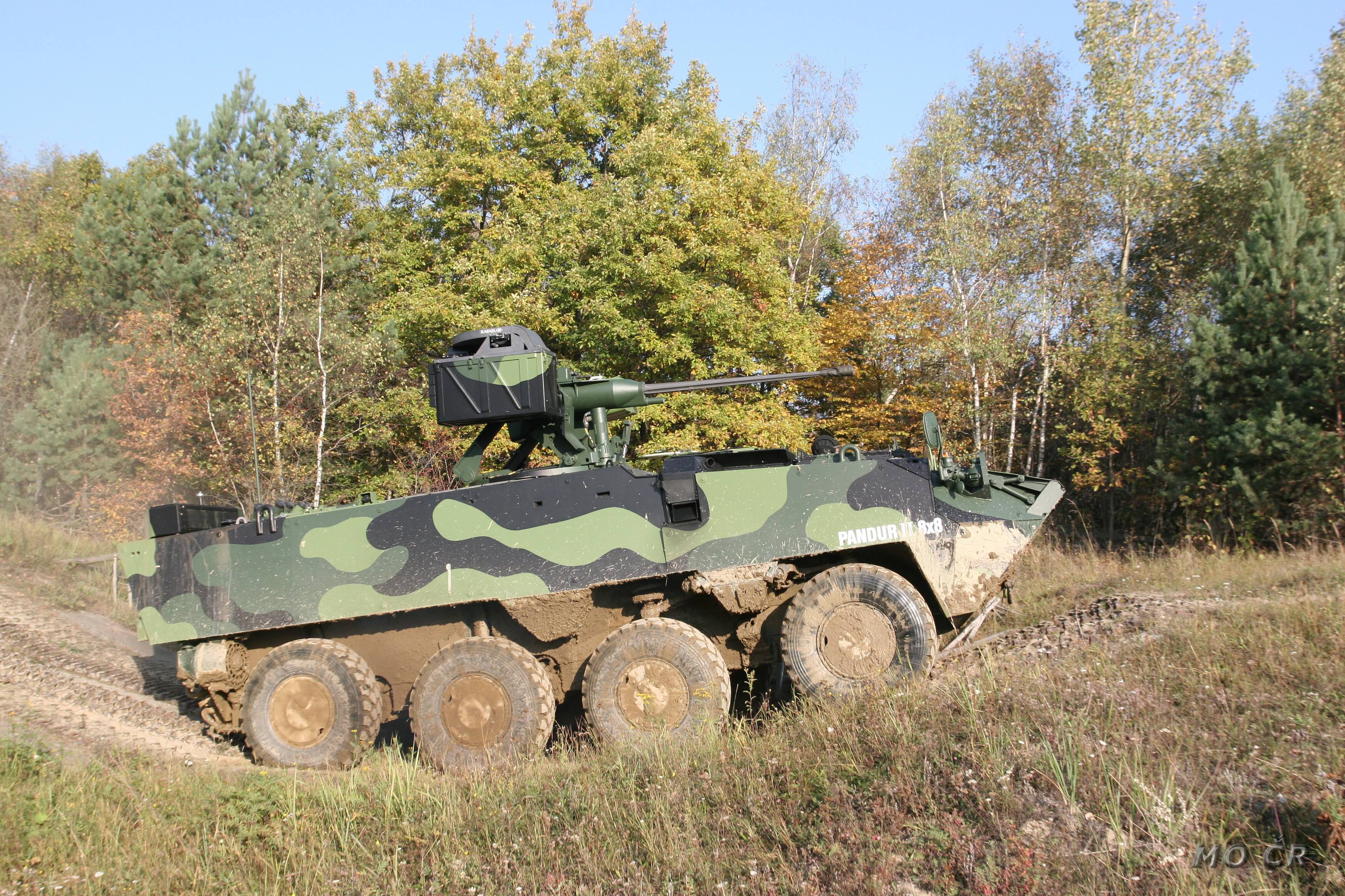 Pandur_II_(A).jpg