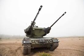 Gepard_(C).jpg