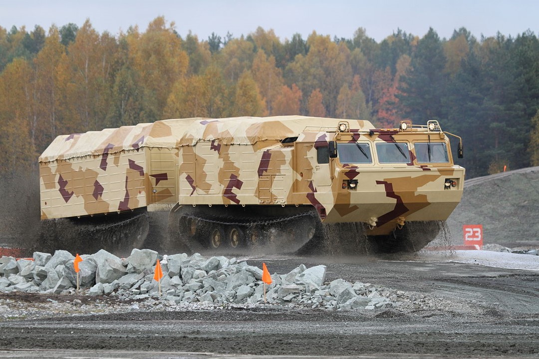 Vityaz_DT-30PM_(AA).jpg