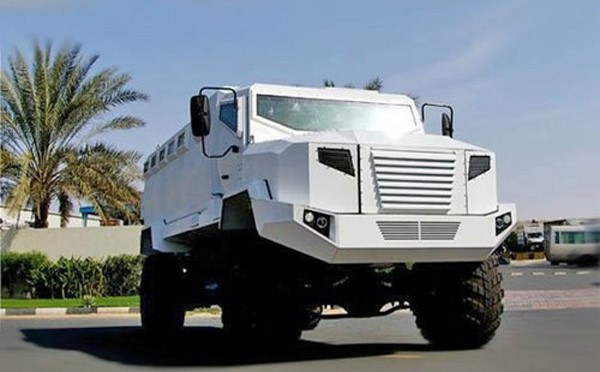 Panthera_K-10_(A).jpg
