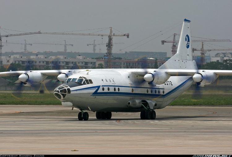 Y-8TChineseAircraft(B).jpeg