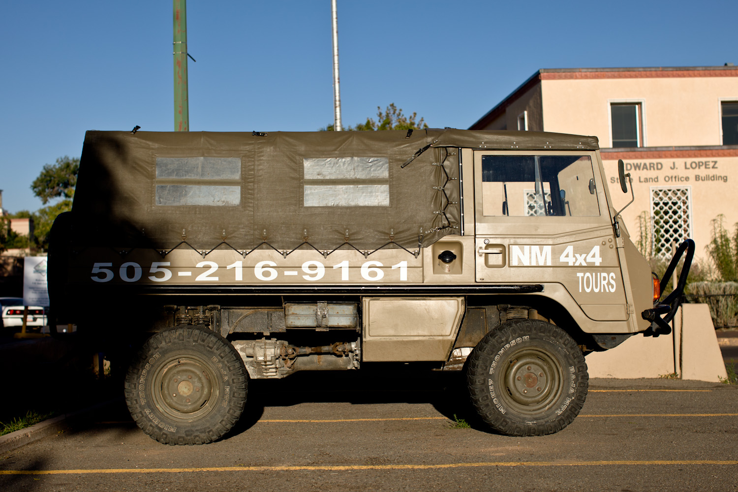 Pinzgauer_710_T(B).jpg