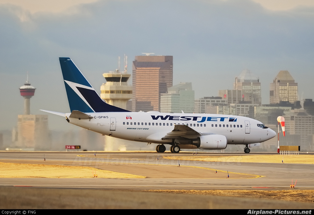 Boeing_737-600(C).jpg