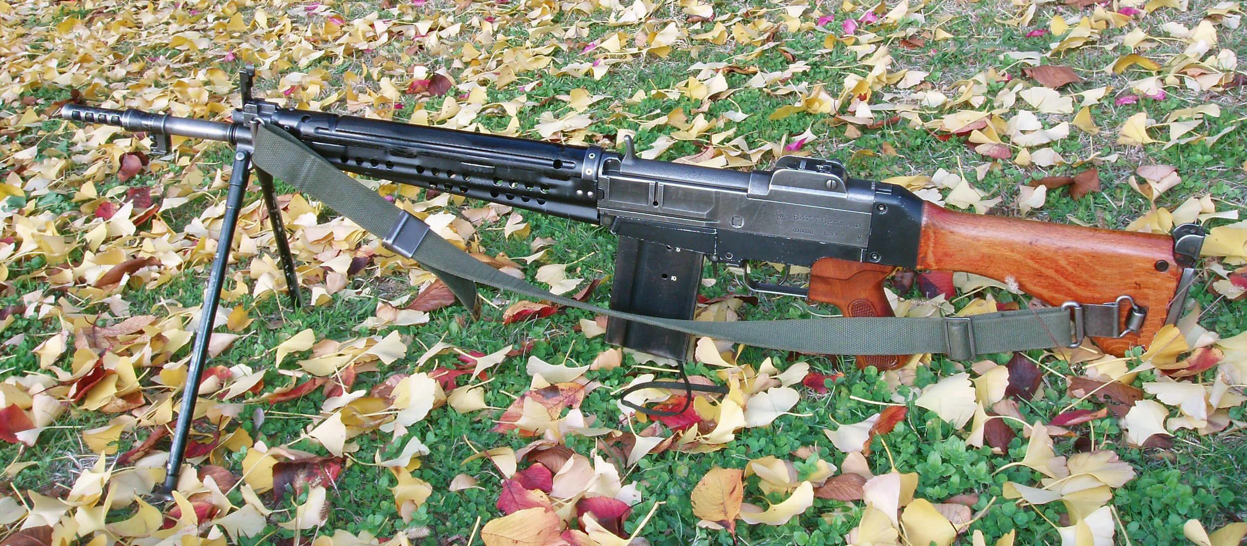 Howa_Type_64(A).jpg