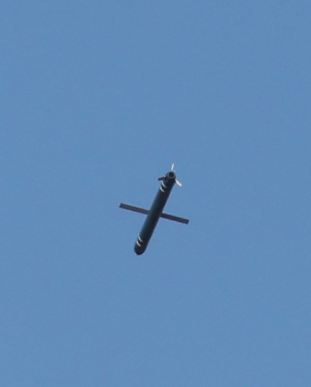 m02025012600001.jpg
