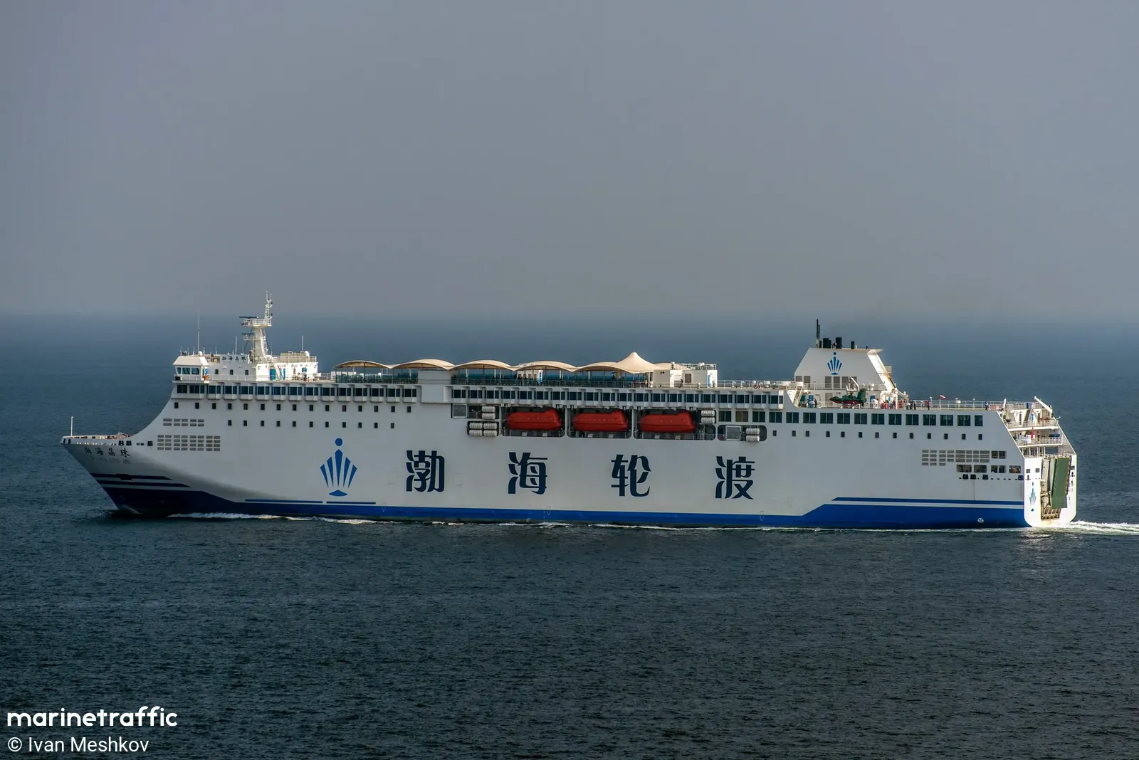 BO HAI JING ZHU (渤海晶珠)